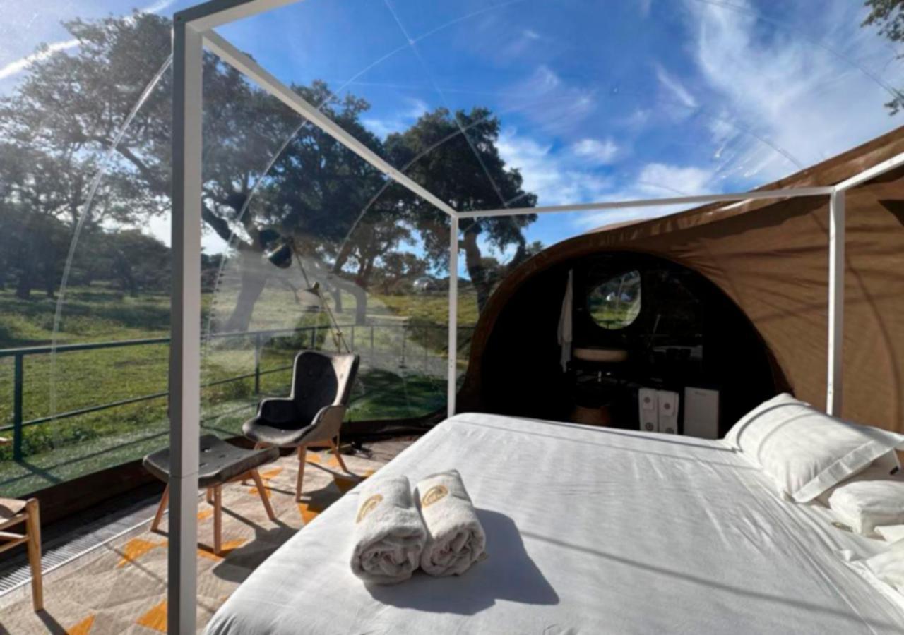 Finca El Cortinal Valencia de Alcantara Ngoại thất bức ảnh