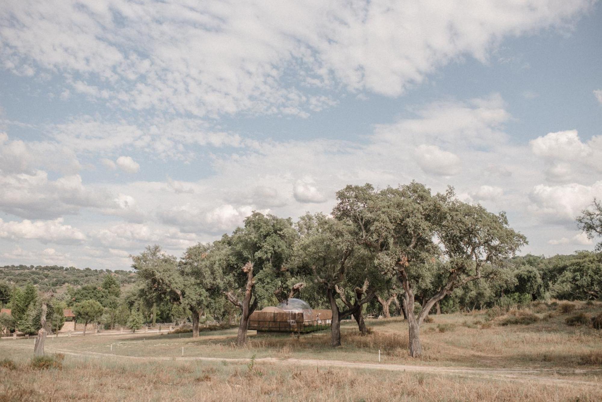 Finca El Cortinal Valencia de Alcantara Ngoại thất bức ảnh