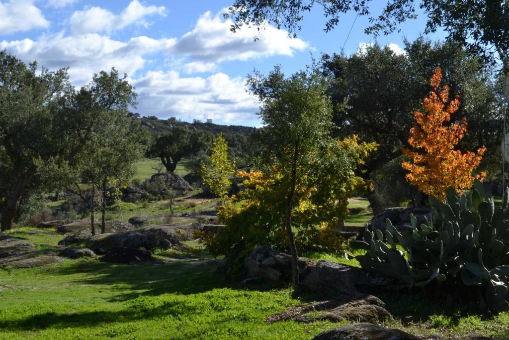 Finca El Cortinal Valencia de Alcantara Phòng bức ảnh